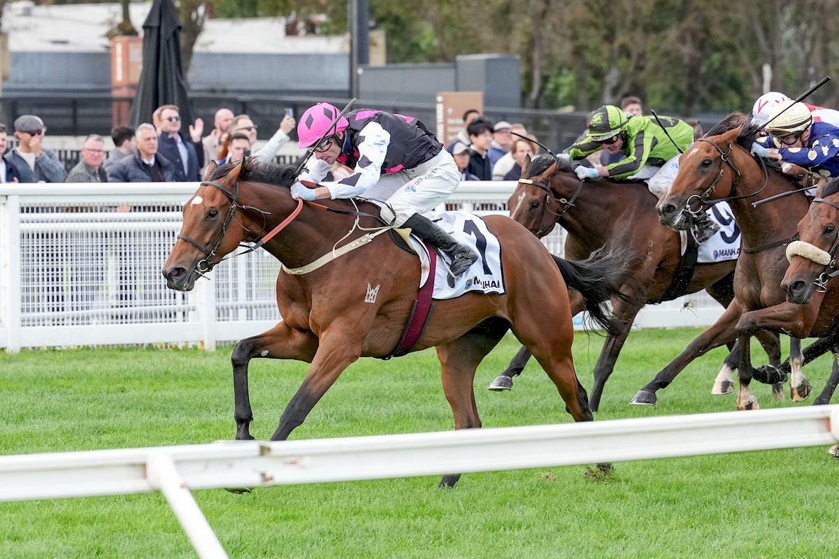 Single Choice wins the Galilee Series Final
