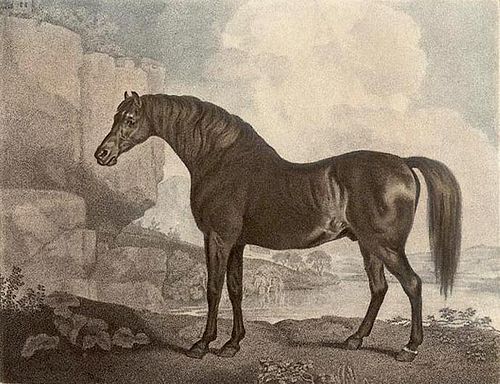 Marske by George Stubbs