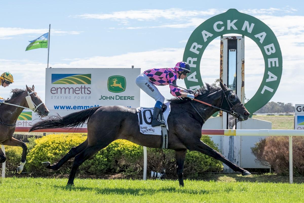 The Autumn Classic photo finish